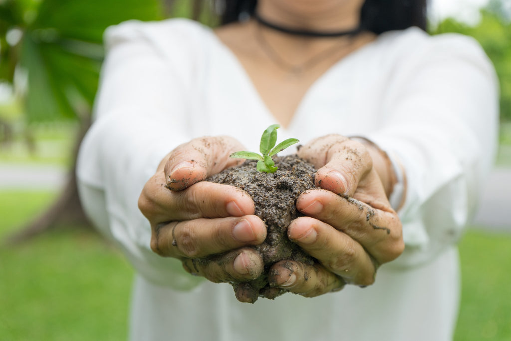 What does Natural really mean?